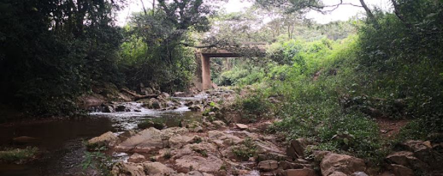El cedrito, Subirana, Yoro