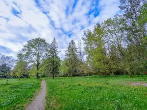 Kolman's garden