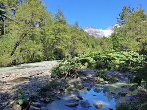 Parque Nacional Corcovado