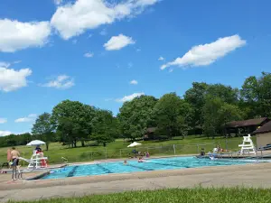 Union Cog Pool Park