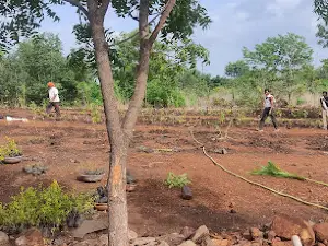 Yeldari Forest Park