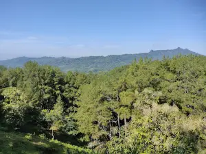 Brujul Adventure Park