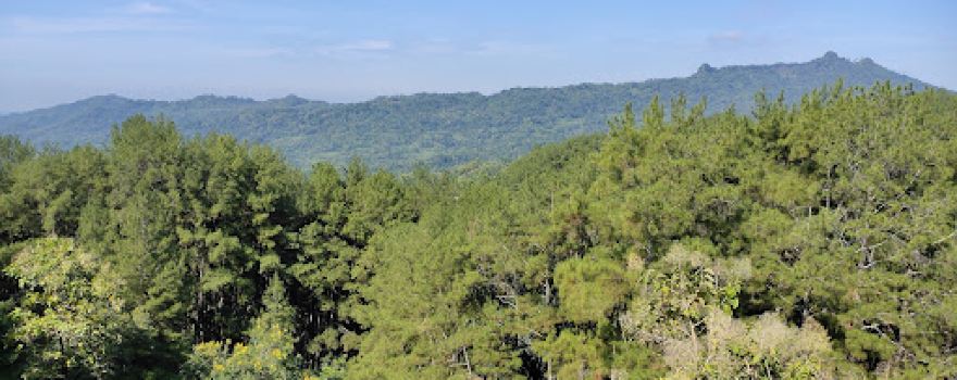 Brujul Adventure Park