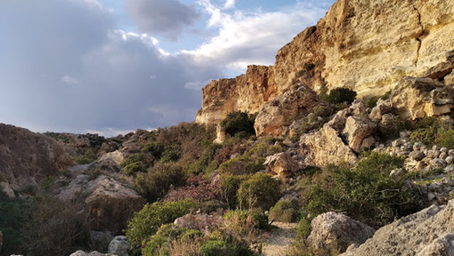 Foresta 2000 Nature Reserve