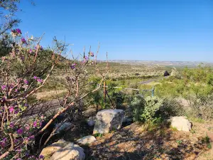 Picnic Area and Overlook
