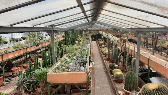 Vivaio Ronco Antonio