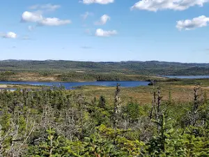 Placentia Bay Lookout