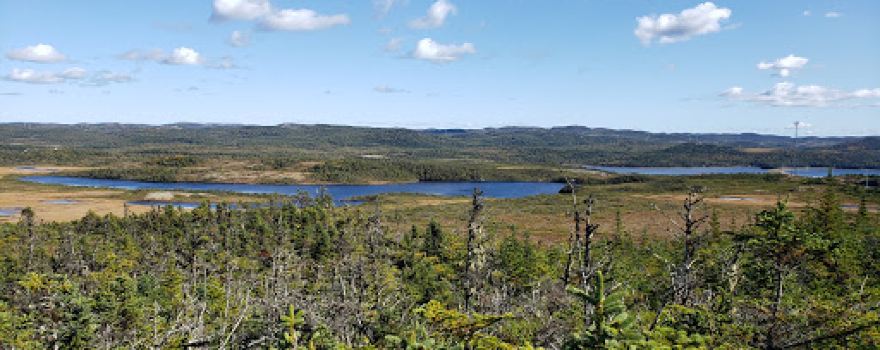 Placentia Bay Lookout