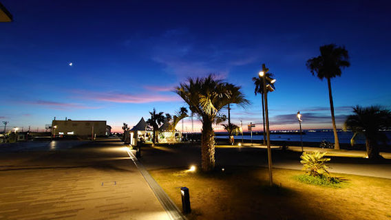 Sennan Rinkū Park (Sennan Long Park)