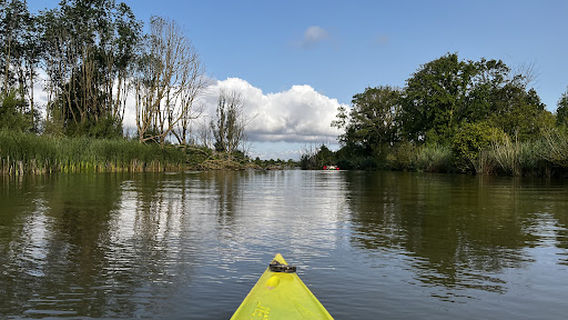 Natuurkampeerterrein de Knotwilg