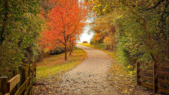 Andover Park