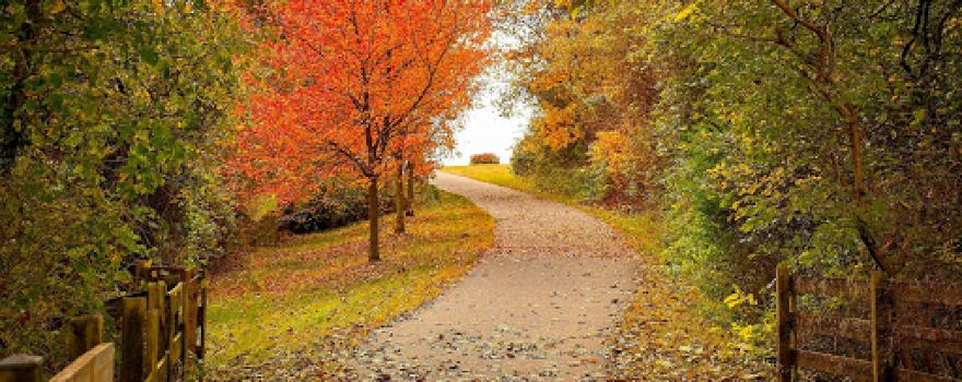 Andover Park