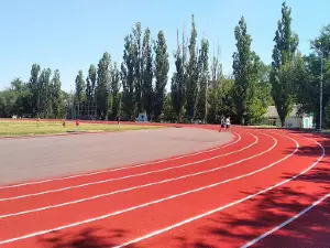 Торпедо