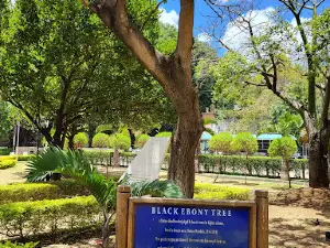 Jardin de la Compagnie