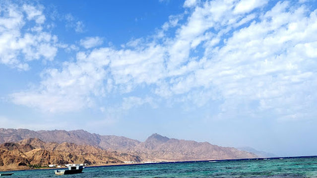 Culture House - Asala