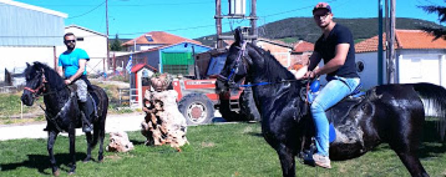 Stati's P. Horses