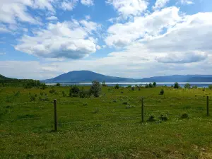 Williston Lake RV & Campground