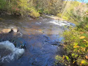 Four Foot Falls