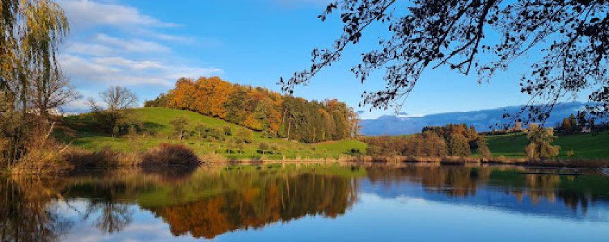 Hauptwiler Weiher