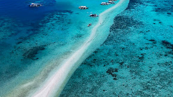 Snake Island sandbar