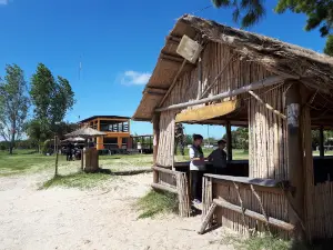 Camping Municipal El Pericón