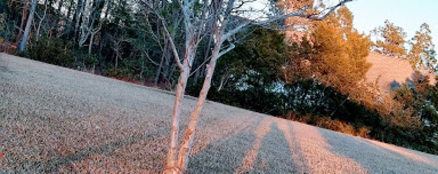 Robert G Muse Memorial Park