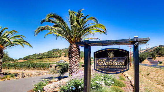 Baldacci Family Vineyards