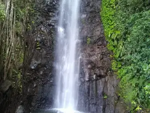 Terrain de jeu Layou
