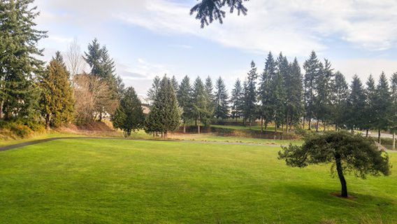 Homann Park