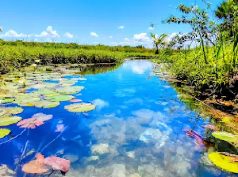 El Manantial Ramonal