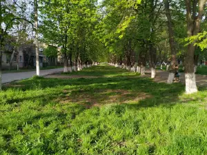 Victory Park