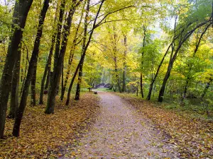 Park Pałacowy w Warce