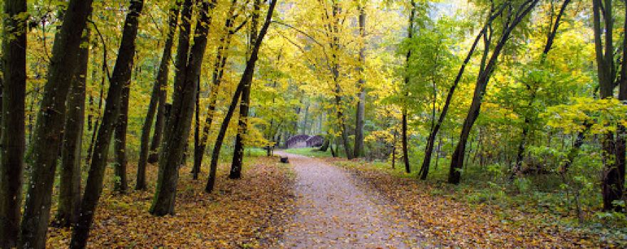 Park Pałacowy w Warce