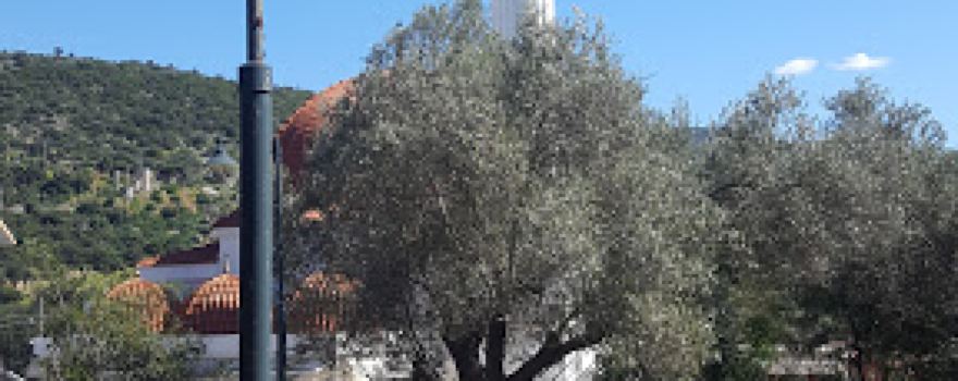 Torba camii
