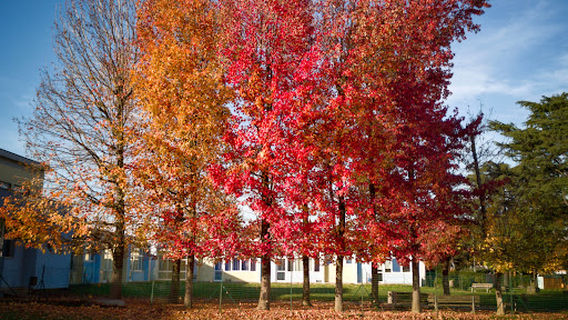 Palestra Luciano Mannucci