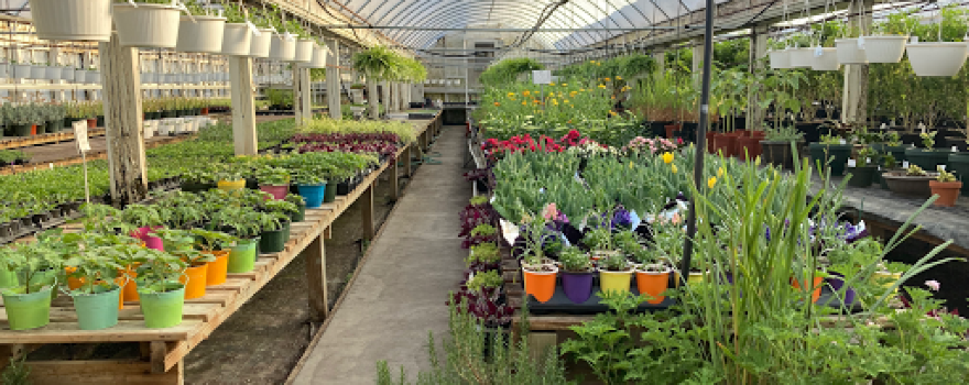 Roy Kutchey Greenhouses - Midland, Michigan