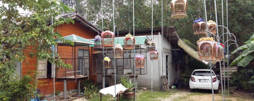 Masjid Nurul Islam Pauh Manis