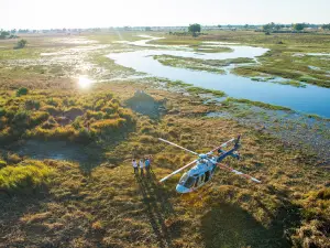 Helicopter Horizons