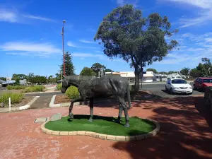 Welcome Park Norseman