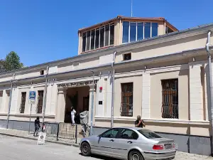 Museum of Natural Sciences