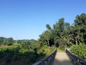 Hajong Cultural Centre and Museum