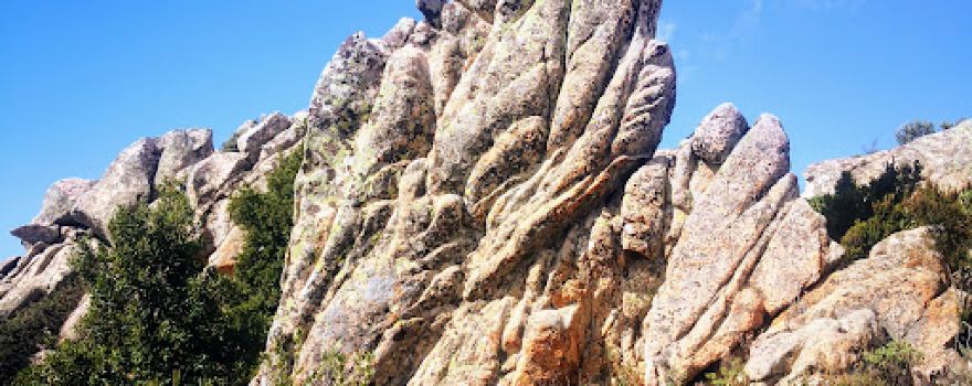 Foresta demaniale di Usinavà