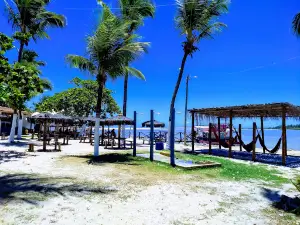 Alcobaca bar