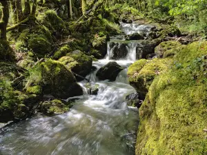 Cascade du Saut Ruban