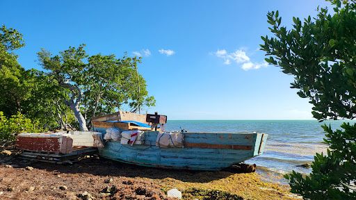 Harry Harris Beach and Park