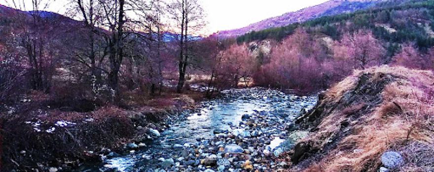 BAILEY Bridge - Mikrolivado
