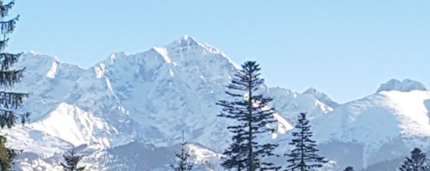 Poroniec
