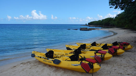 Bush Tribe Eco Adventures