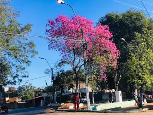 Plaza