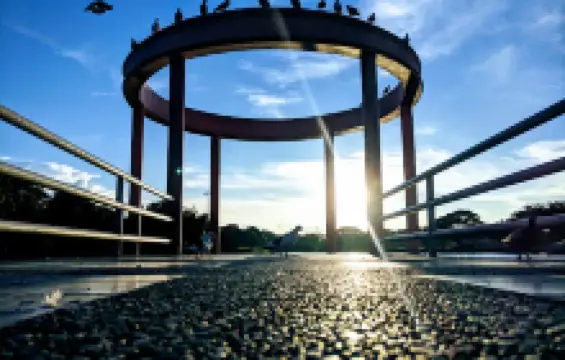 สวนสาธารณะหนองถิ่น